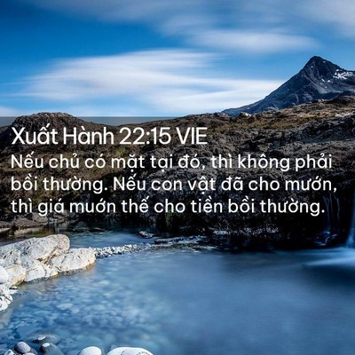 Picture 02 - Xuất Hành 22:15 VIE - Nếu chủ có mặt tại đó, thì không - Bible Verse Picture