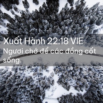 Picture 02 - Xuất Hành 22:18 VIE - Ngươi chớ để các đồng cốt - Bible Verse Picture