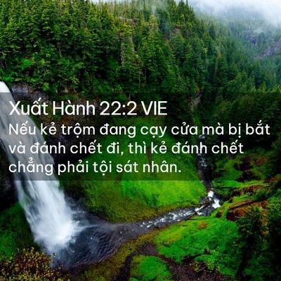 Picture 02 - Xuất Hành 22:2 VIE - Nếu kẻ trộm đang cạy cửa mà bị - Bible Verse Picture