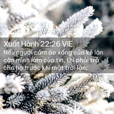 Picture 02 - Xuất Hành 22:26 VIE - Nếu ngươi cầm áo xống của kẻ lân - Bible Verse Picture