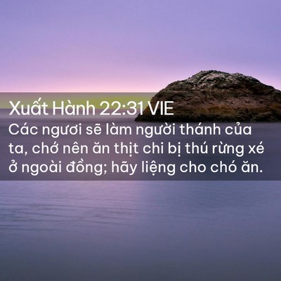 Picture 02 - Xuất Hành 22:31 VIE - Các ngươi sẽ làm người thánh của ta, - Bible Verse Picture