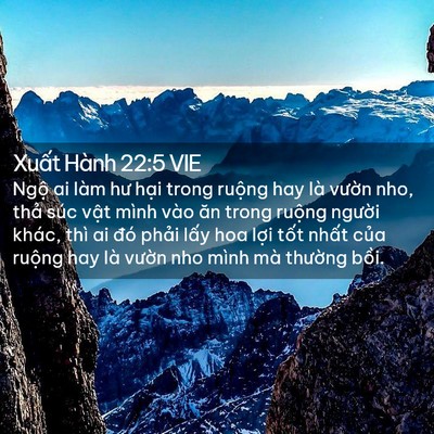 Picture 02 - Xuất Hành 22:5 VIE - Ngộ ai làm hư hại trong ruộng hay là - Bible Verse Picture