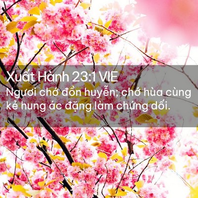 Picture 02 - Xuất Hành 23:1 VIE - Ngươi chớ đồn huyễn; chớ hùa cùng - Bible Verse Picture