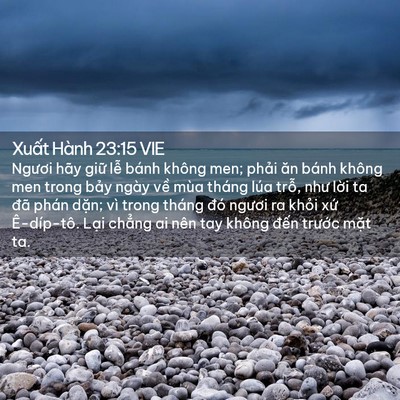 Picture 02 - Xuất Hành 23:15 VIE - Ngươi hãy giữ lễ bánh không men; phải - Bible Verse Picture