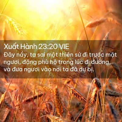 Picture 02 - Xuất Hành 23:20 VIE - Đây nầy, ta sai một thiên sứ đi - Bible Verse Picture
