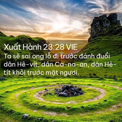 Picture 02 - Xuất Hành 23:28 VIE - Ta sẽ sai ong lỗ đi trước đánh đuổi - Bible Verse Picture