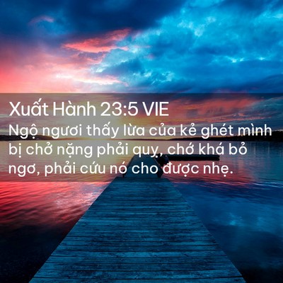 Picture 02 - Xuất Hành 23:5 VIE - Ngộ ngươi thấy lừa của kẻ ghét mình - Bible Verse Picture