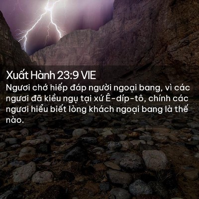 Picture 02 - Xuất Hành 23:9 VIE - Ngươi chớ hiếp đáp người ngoại bang, - Bible Verse Picture