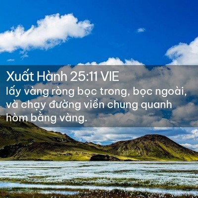 Picture 02 - Xuất Hành 25:11 VIE - lấy vàng ròng bọc trong, bọc ngoài, và - Bible Verse Picture