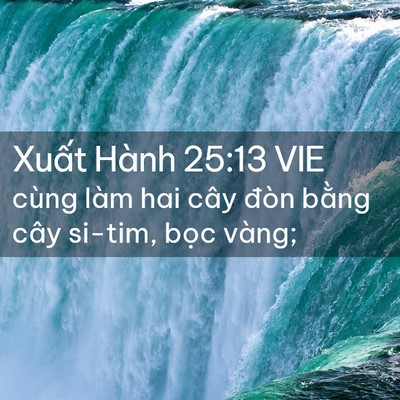 Picture 02 - Xuất Hành 25:13 VIE - cùng làm hai cây đòn bằng cây si-tim, - Bible Verse Picture