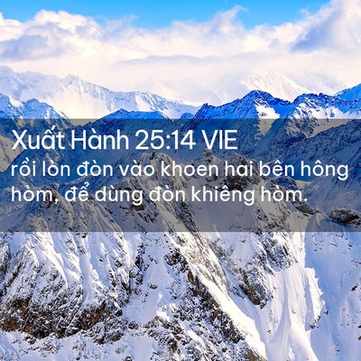 Picture 02 - Xuất Hành 25:14 VIE - rồi lòn đòn vào khoen hai bên hông hòm, - Bible Verse Picture