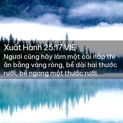 Picture 02 - Xuất Hành 25:17 VIE - Ngươi cũng hãy làm một cái nắp thi ân - Bible Verse Picture