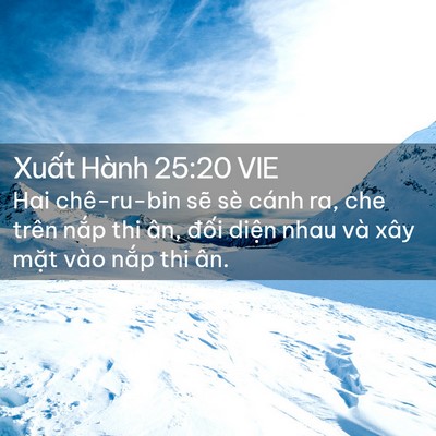 Picture 02 - Xuất Hành 25:20 VIE - Hai chê-ru-bin sẽ sè cánh ra, che trên - Bible Verse Picture