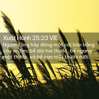 Picture 02 - Xuất Hành 25:23 VIE - Ngươi cũng hãy đóng một cái bàn bằng - Bible Verse Picture