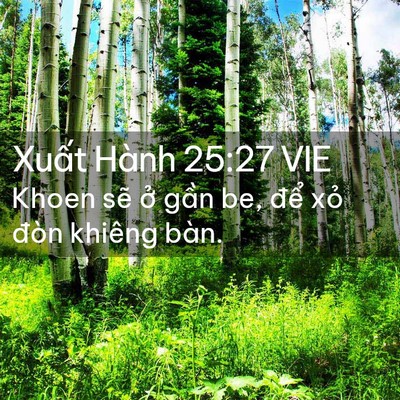 Picture 02 - Xuất Hành 25:27 VIE - Khoen sẽ ở gần be, để xỏ đòn khiêng - Bible Verse Picture