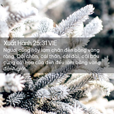 Picture 02 - Xuất Hành 25:31 VIE - Ngươi cũng hãy làm chân đèn bằng vàng - Bible Verse Picture