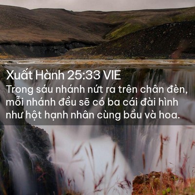 Picture 02 - Xuất Hành 25:33 VIE - Trong sáu nhánh nứt ra trên chân đèn, - Bible Verse Picture