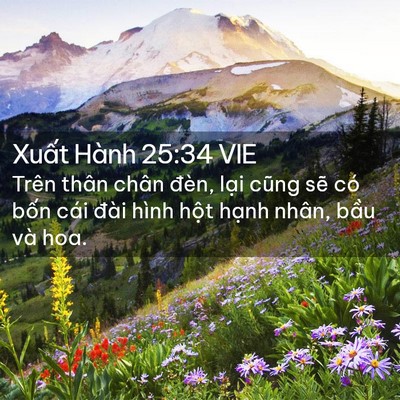 Picture 02 - Xuất Hành 25:34 VIE - Trên thân chân đèn, lại cũng sẽ có - Bible Verse Picture