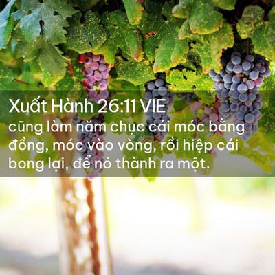 Picture 02 - Xuất Hành 26:11 VIE - cũng làm năm chục cái móc bằng đồng, - Bible Verse Picture