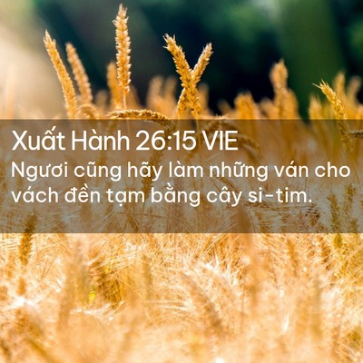 Picture 02 - Xuất Hành 26:15 VIE - Ngươi cũng hãy làm những ván cho vách - Bible Verse Picture