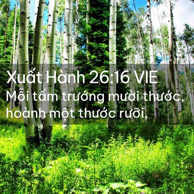 Picture 02 - Xuất Hành 26:16 VIE - Mỗi tấm trướng mười thước, hoành - Bible Verse Picture