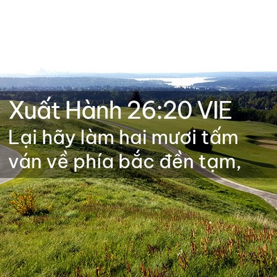 Picture 02 - Xuất Hành 26:20 VIE - Lại hãy làm hai mươi tấm ván về phía - Bible Verse Picture