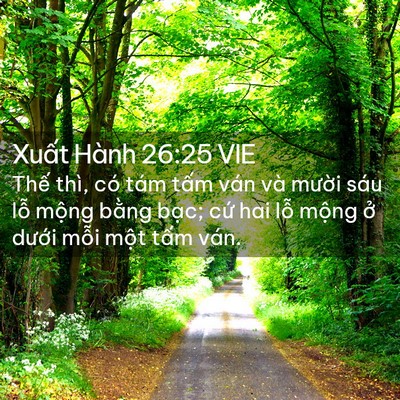 Picture 02 - Xuất Hành 26:25 VIE - Thế thì, có tám tấm ván và mười sáu - Bible Verse Picture