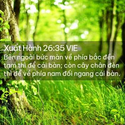 Picture 02 - Xuất Hành 26:35 VIE - Bên ngoài bức màn về phía bắc đền - Bible Verse Picture