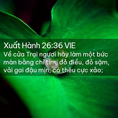 Picture 02 - Xuất Hành 26:36 VIE - Về cửa Trại ngươi hãy làm một bức - Bible Verse Picture