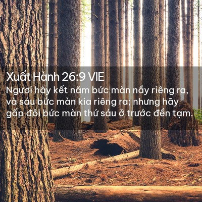 Picture 02 - Xuất Hành 26:9 VIE - Ngươi hãy kết năm bức màn nầy riêng - Bible Verse Picture