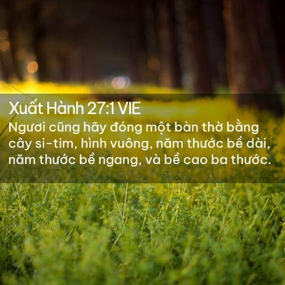 Picture 02 - Xuất Hành 27:1 VIE - Ngươi cũng hãy đóng một bàn thờ bằng - Bible Verse Picture