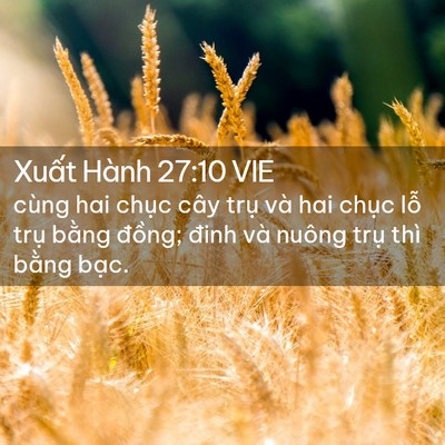 Picture 02 - Xuất Hành 27:10 VIE - cùng hai chục cây trụ và hai chục lỗ - Bible Verse Picture