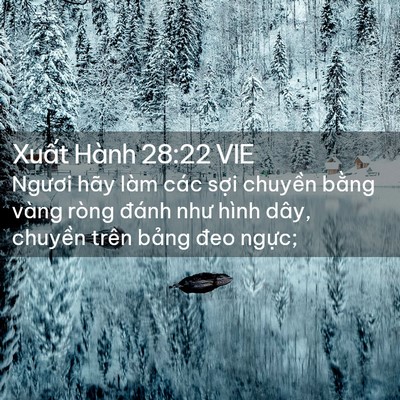 Picture 02 - Xuất Hành 28:22 VIE - Ngươi hãy làm các sợi chuyền bằng - Bible Verse Picture