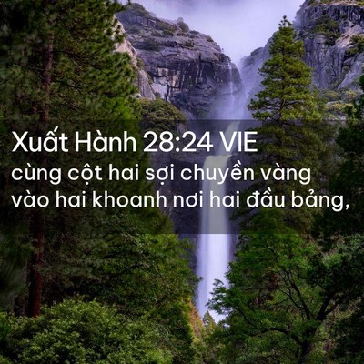 Picture 02 - Xuất Hành 28:24 VIE - cùng cột hai sợi chuyền vàng vào hai - Bible Verse Picture