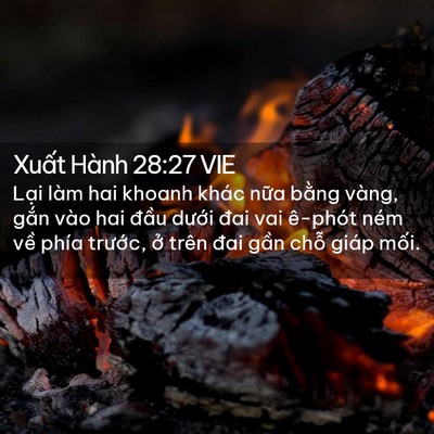 Picture 02 - Xuất Hành 28:27 VIE - Lại làm hai khoanh khác nữa bằng vàng, - Bible Verse Picture