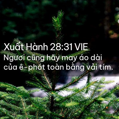 Picture 02 - Xuất Hành 28:31 VIE - Ngươi cũng hãy may áo dài của ê-phót - Bible Verse Picture