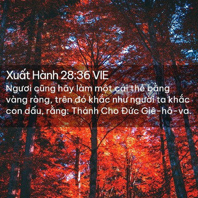Picture 02 - Xuất Hành 28:36 VIE - Ngươi cũng hãy làm một cái thẻ bằng - Bible Verse Picture