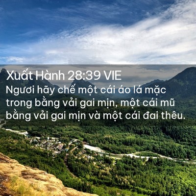 Picture 02 - Xuất Hành 28:39 VIE - Ngươi hãy chế một cái áo lá mặc trong - Bible Verse Picture
