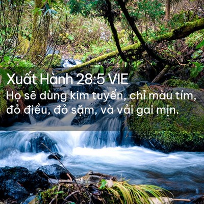 Picture 02 - Xuất Hành 28:5 VIE - Họ sẽ dùng kim tuyến, chỉ màu tím, - Bible Verse Picture