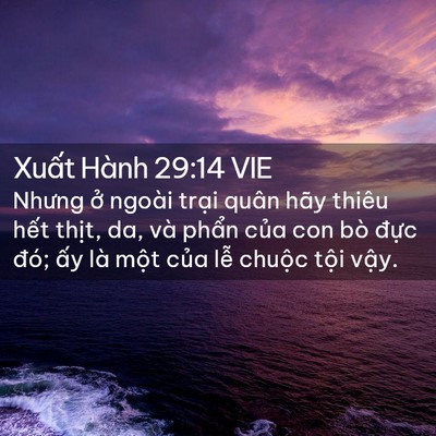 Picture 02 - Xuất Hành 29:14 VIE - Nhưng ở ngoài trại quân hãy thiêu hết - Bible Verse Picture