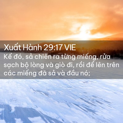 Picture 02 - Xuất Hành 29:17 VIE - Kế đó, sả chiên ra từng miếng, rửa - Bible Verse Picture