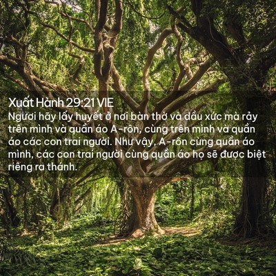 Picture 02 - Xuất Hành 29:21 VIE - Ngươi hãy lấy huyết ở nơi bàn thờ - Bible Verse Picture