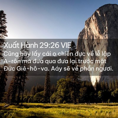 Picture 02 - Xuất Hành 29:26 VIE - Cũng hãy lấy cái o chiên đực về lễ - Bible Verse Picture