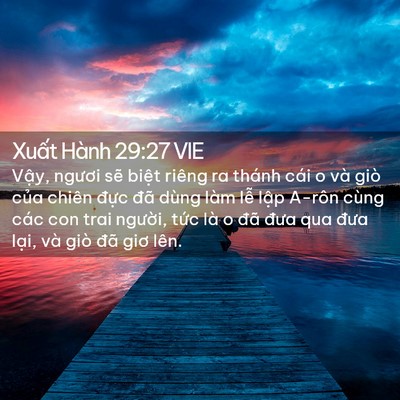 Picture 02 - Xuất Hành 29:27 VIE - Vậy, ngươi sẽ biệt riêng ra thánh cái - Bible Verse Picture