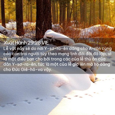 Picture 02 - Xuất Hành 29:28 VIE - Lễ vật nầy sẽ do nơi Y-sơ-ra-ên dâng - Bible Verse Picture