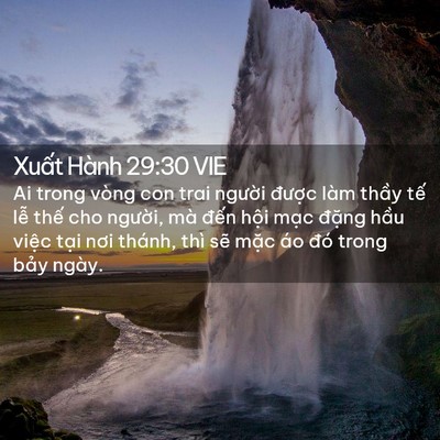 Picture 02 - Xuất Hành 29:30 VIE - Ai trong vòng con trai người được làm - Bible Verse Picture