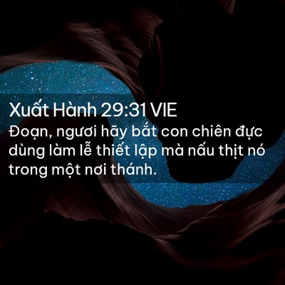 Picture 02 - Xuất Hành 29:31 VIE - Đoạn, ngươi hãy bắt con chiên đực - Bible Verse Picture