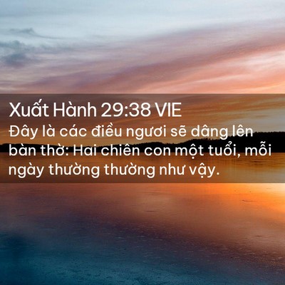 Picture 02 - Xuất Hành 29:38 VIE - Đây là các điều ngươi sẽ dâng lên - Bible Verse Picture