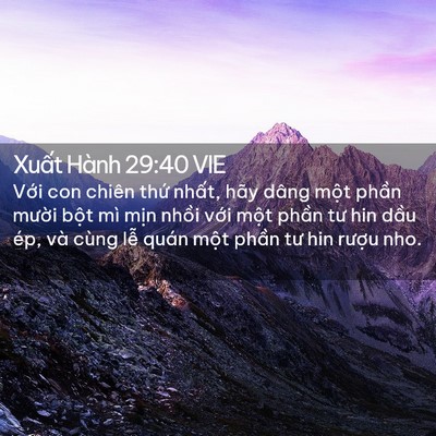 Picture 02 - Xuất Hành 29:40 VIE - Với con chiên thứ nhất, hãy dâng một - Bible Verse Picture