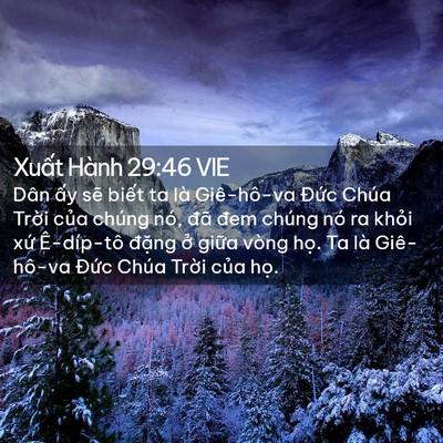 Picture 02 - Xuất Hành 29:46 VIE - Dân ấy sẽ biết ta là Giê-hô-va Đức - Bible Verse Picture